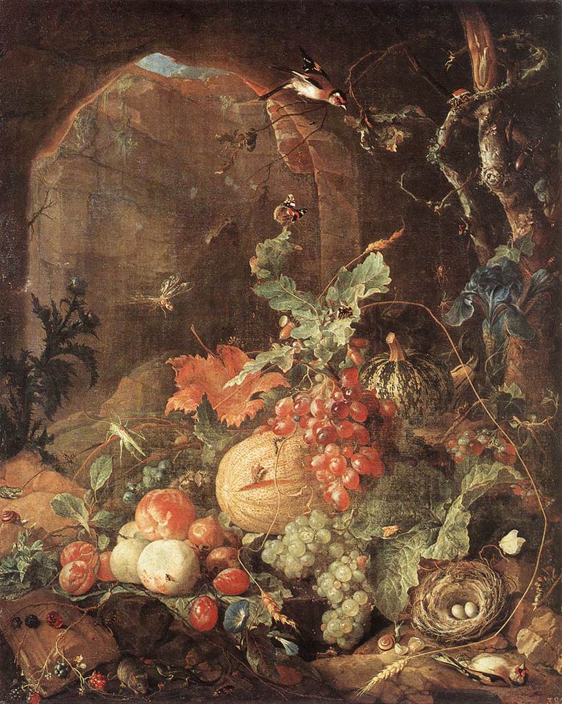 Still-life w Bird-nest